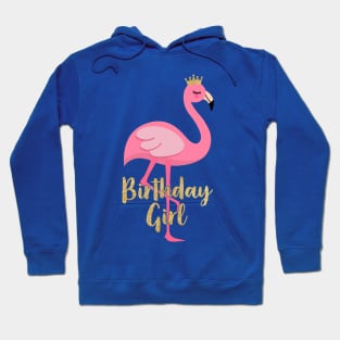 Flamingo Girl Birthday Costume Gift Hoodie
